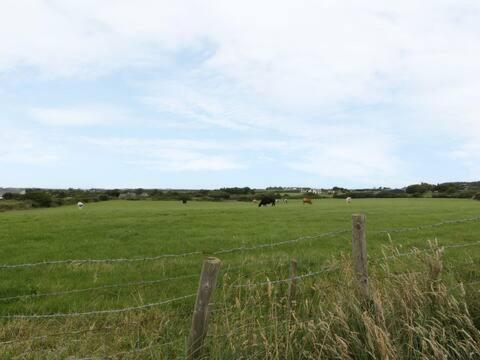 Ty Rhos, Farm Stay, Sleeps 4, Rhoshirwaun 2 Miles From Aberdaron Exterior foto